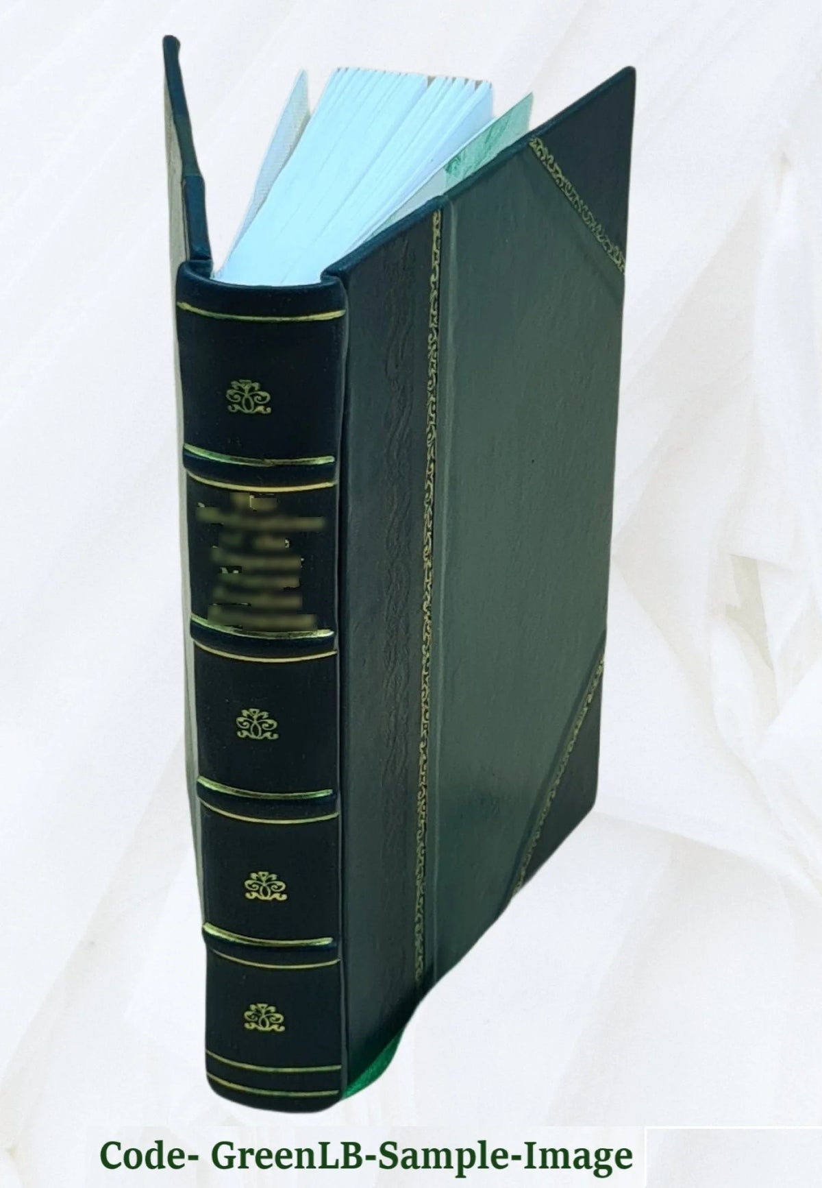 Leather Bound Book E759505