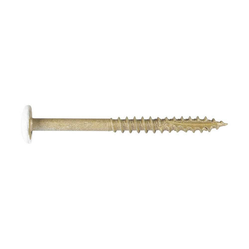 #10 x 3x22 Exterior White Head Cabinet Screws Star Drive Y9382