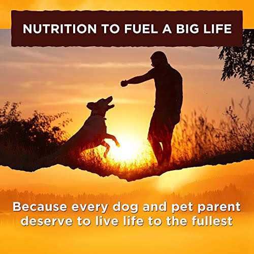 Chicken Recipe Wet Dog Food in Broth R7821