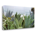 Fine Art Giclee Print V31433