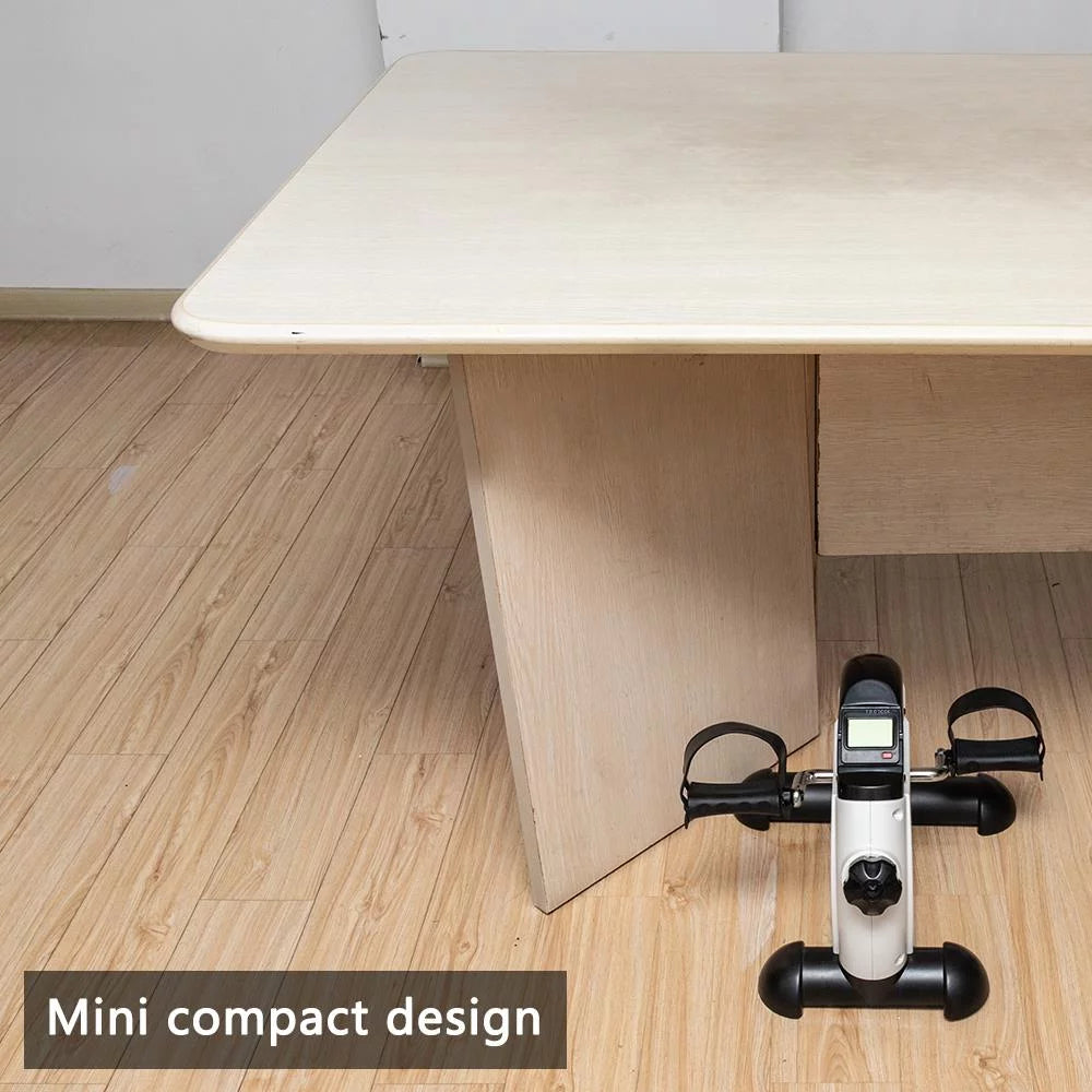 Portable Mini Exercise Bike L2173