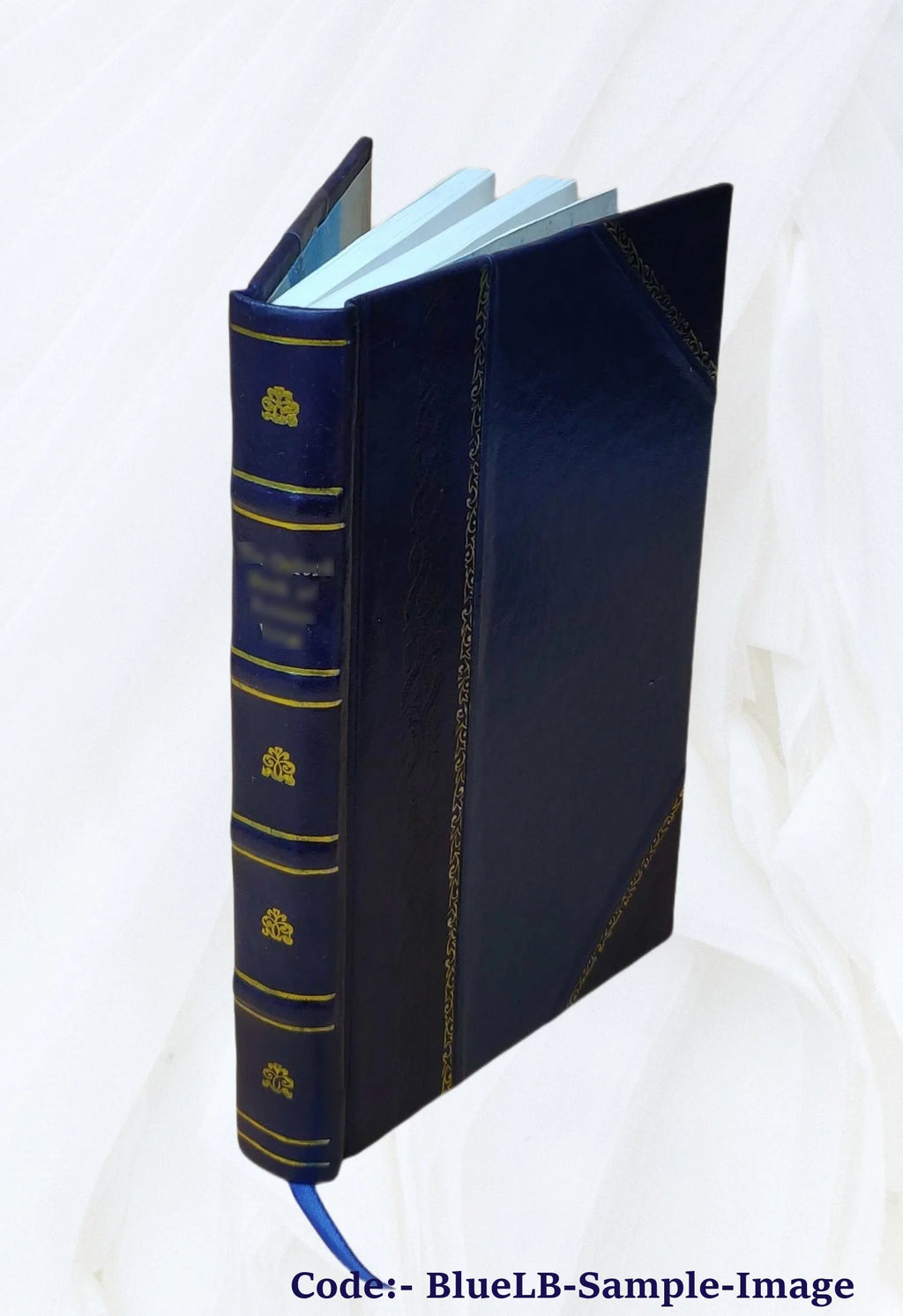 Leather Bound Book E759505