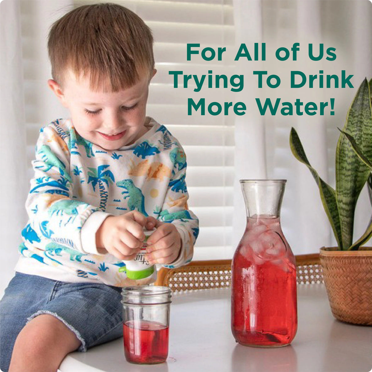 Pomegranate Cranberry Liquid Water Enhancer Drink Mix 1.62 fl oz Bottle 10 Pack Z5835