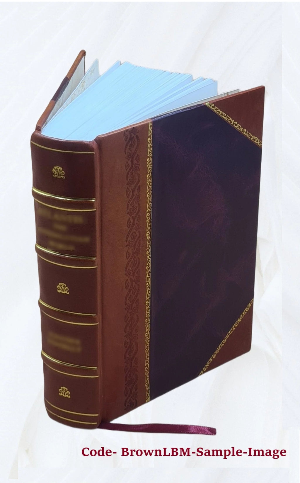 Medieval Italy 305-1313 Historical Narrative Y4645