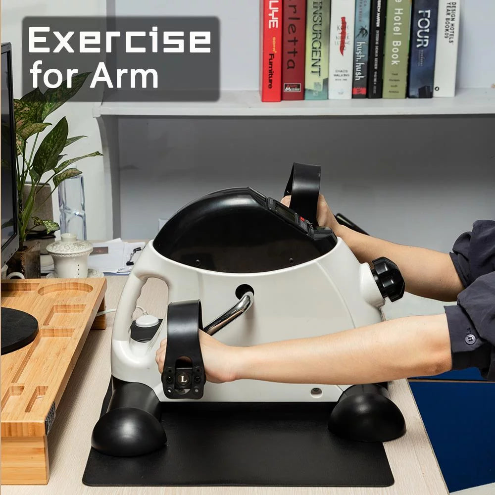 Portable Mini Exercise Bike L2173